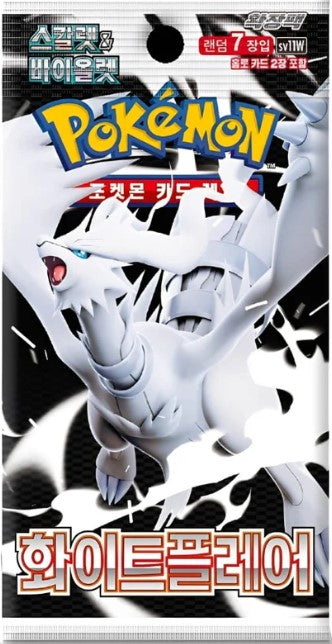 Pokemon White Flare Display/Booster Koreanisch