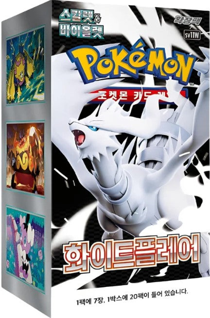 Pokemon White Flare Display/Booster Koreanisch